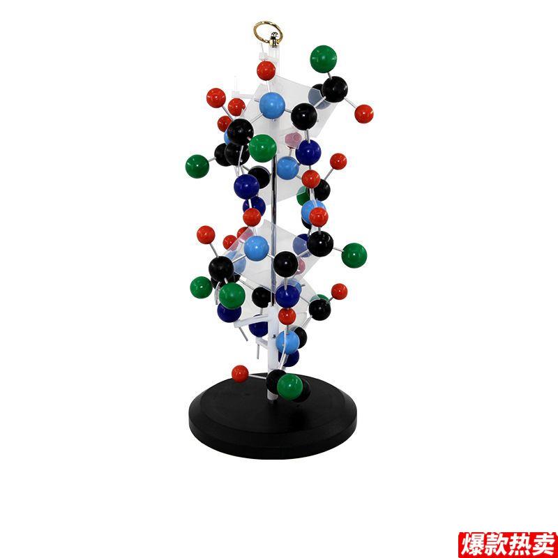 蛋白质二级结M构模型初中高中教学仪器生物课器材DNA双螺旋结构模