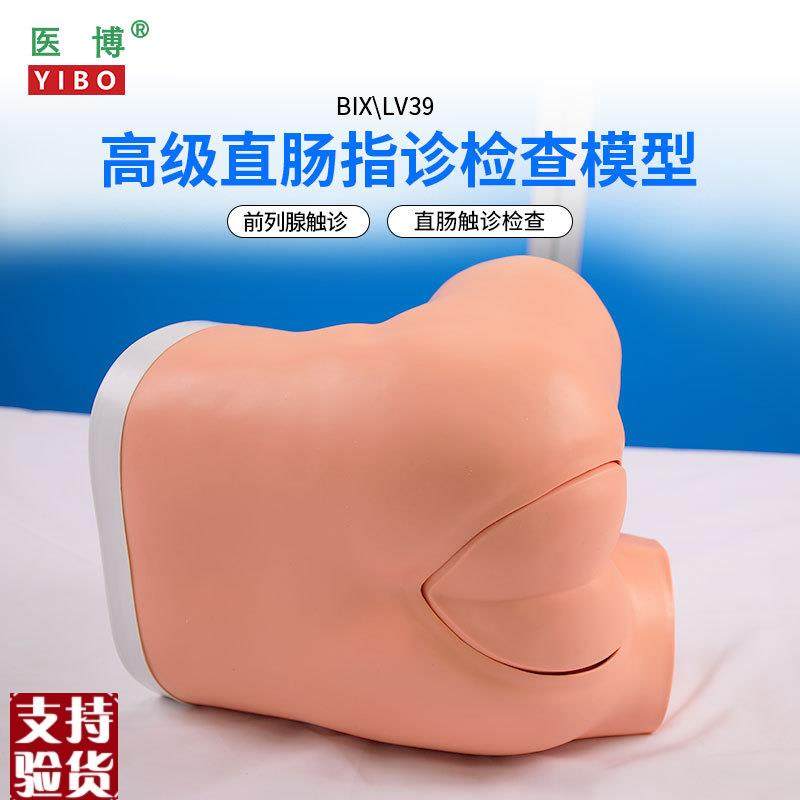 医博BIX-LV39高级直肠指诊检查模型L前列腺肛门息肉检查模型,文具电教/文化用品/商务用品,教学标本/模型,淘宝优惠券,粉丝福利购,淘宝优惠卷