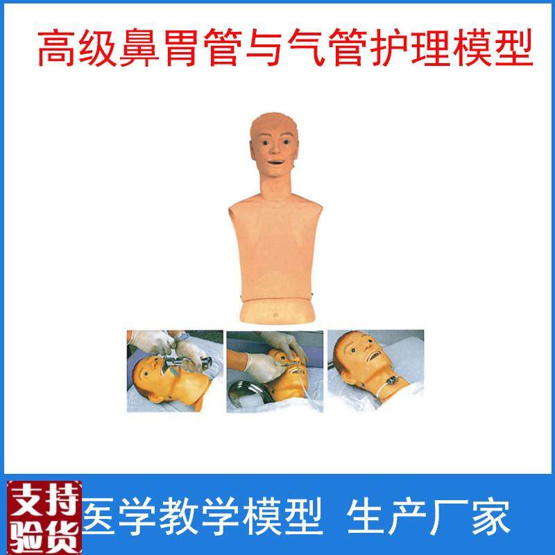 上海医模c高级鼻胃管与气管护理模型插胃管口切开护理教学训练模,文具电教/文化用品/商务用品,模拟人,淘宝优惠券,粉丝福利购,淘宝优惠卷