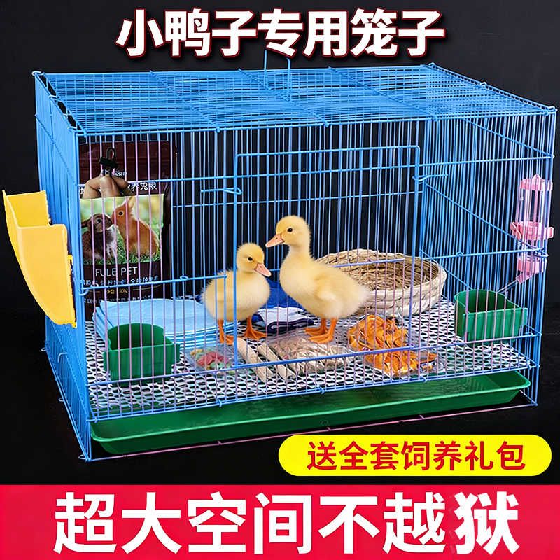 小鸭子笼子家用大号养小鸡的别墅自动清粪柯尔鸭饲养笼芦丁鸡笼子