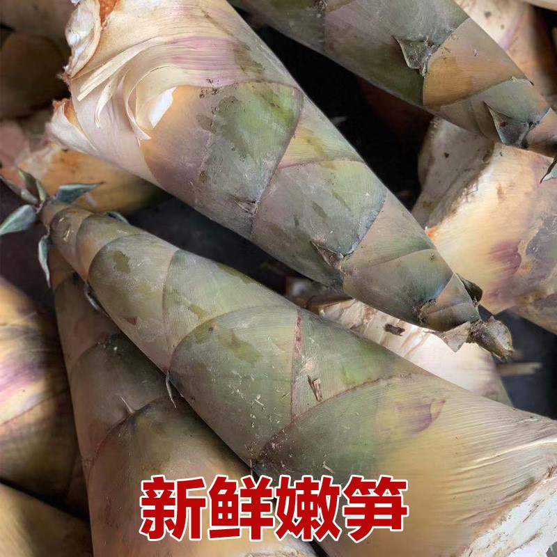 广西新鲜嫩竹笋去皮当应季整箱2斤包邮产地直发美味可口新鲜蔬菜