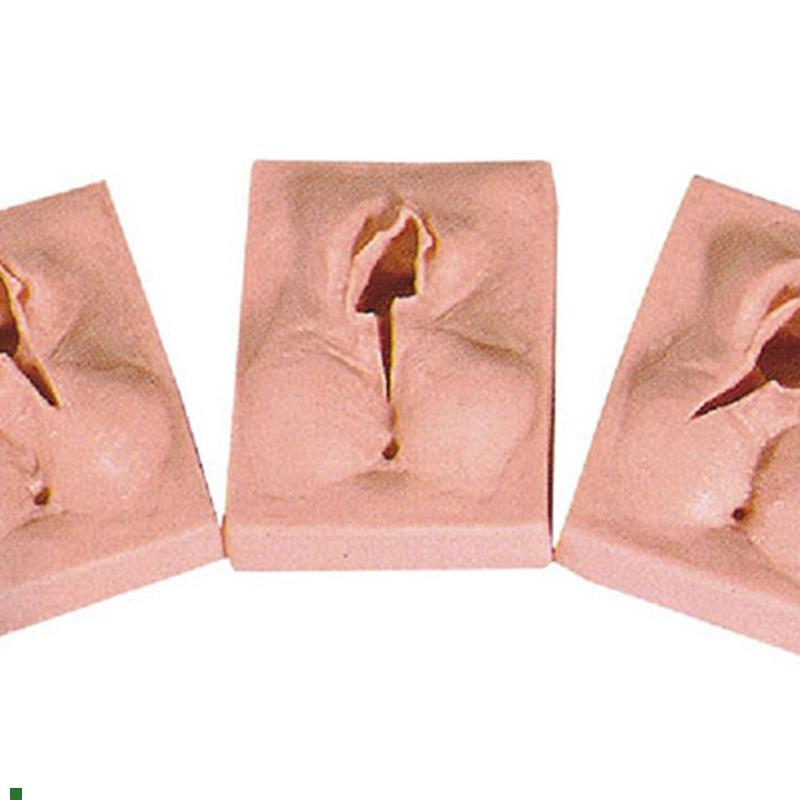 医学用外阴切m开缝合练习模型训练模块