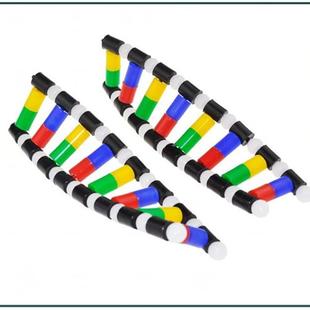 DNA模型脱氧核糖核o酸细胞核中学生物课教学器材医用碱基配对遗传