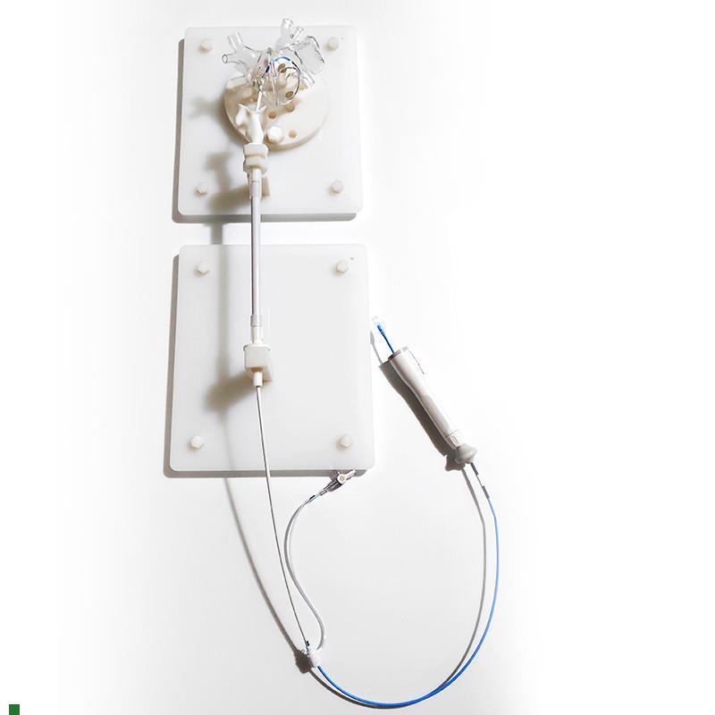 ENOVO颐诺心脏介入练习模型左D心房介入训练台心血管微创介入训