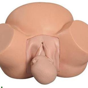 分娩示教模型高级难产示教训练z模型妇产科难产助产分娩教学模型