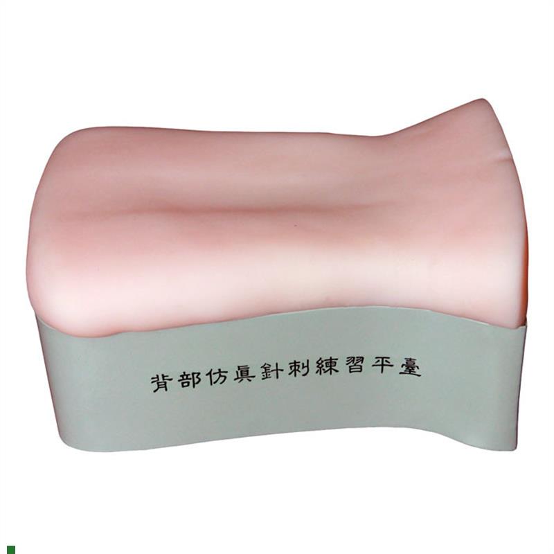 背部仿真针刺练习平台中医针刺背部训练R模型针灸针刺练习