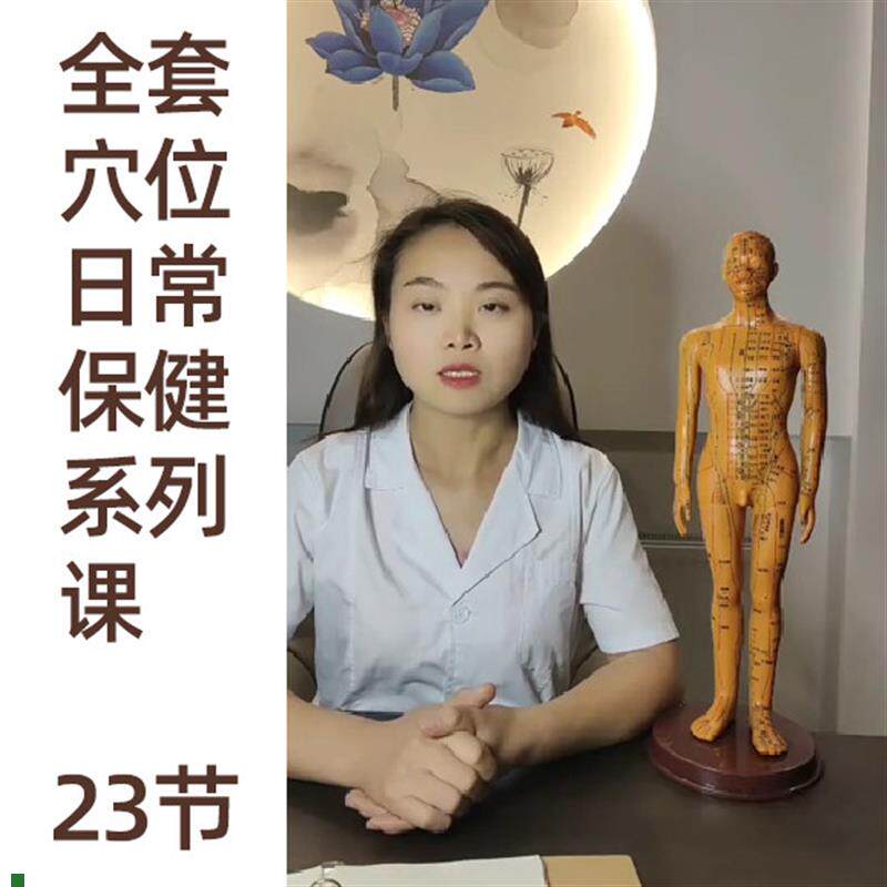 中医教学教程日常保健经络针灸模型相关P理论视频课系列课