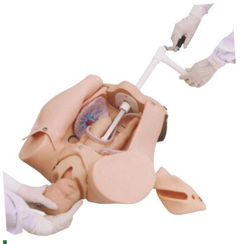 高级手摇分娩机制示教模型y肩难产助产训练模型妇幼保健模具