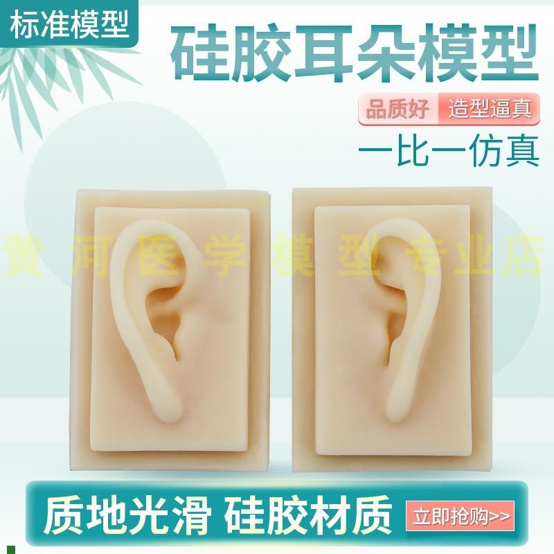 硅胶耳朵模型软体耳朵模型人体A耳朵模型仿真人耳助听展示道具
