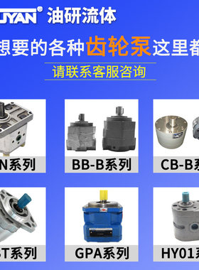 TOP-203HB206摆线泵208/210/216/220/310/TK1504/1506/1508/3015