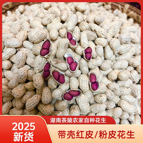 湖南茶陵湖口老品种小子花生