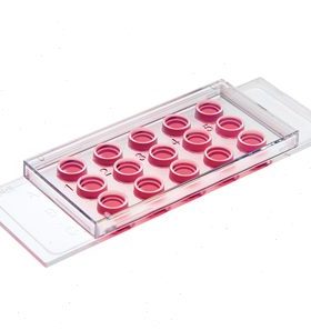 德国ibidi??Slide 血管生成载玻片81501