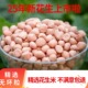手工 25年新货花生米 精选生花生米果 新鲜农家自产 包邮 生 新5斤装