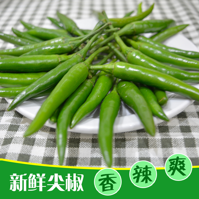 现摘新鲜青辣椒小米椒青朝天青椒特辣500克可腌制泡椒 三份起包邮|msdalam kategori daging perikanan/Buah-buahan segar dan sayur-sayuran/dimasak, sayur-sayuran segar/Vegetable Products, sayur-sayuran segar, lain - dari Buy2taobao.com untuk memberikan perkhidmatan ejen Taobao profesional membeli