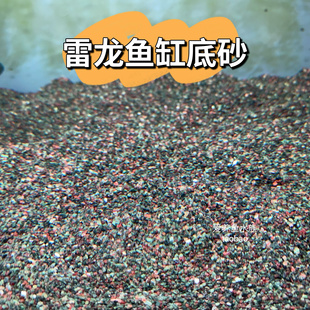 雷龙底沙灰青沙青红沙偏暗灰青沙青灰红沙七彩牙鱼原生鱼缸造景沙