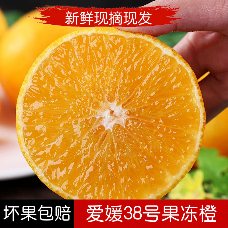 现摘爱媛38号果冻橙 四川乐山新鲜水果橙子橘子孕妇水果8斤包邮|ruв категории водной мясо/свежие фрукты и овощи/еда, свежие фрукты, оранжевый - от Buy2taobao.com для оказания профессиональной услуги покупки агента Taobao