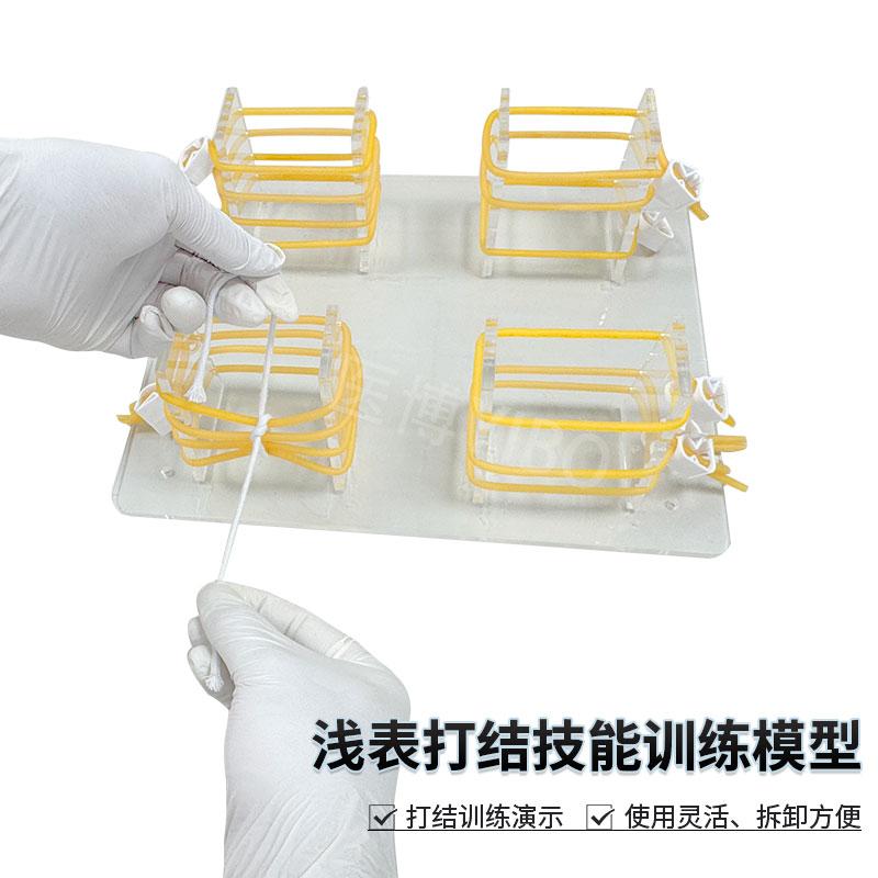 外科浅表打结技能训练模型