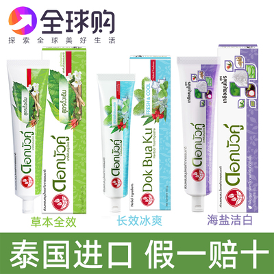 泰国双莲草本牙膏清洁牙齿牙黄牙渍清新去口气口臭护龈健齿150g