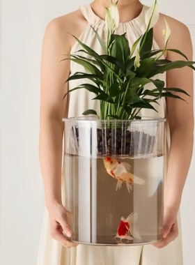 透明亚克力花瓶水培植物带定植篮