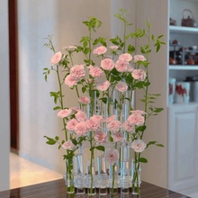 简约创意一排试管玻璃花瓶透明轻奢玫瑰百合客厅桌面插花水培器皿