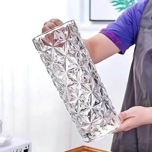 轻奢玻璃花瓶插花高级感摆件客厅透明鲜花瓶直筒大口径富贵竹专用