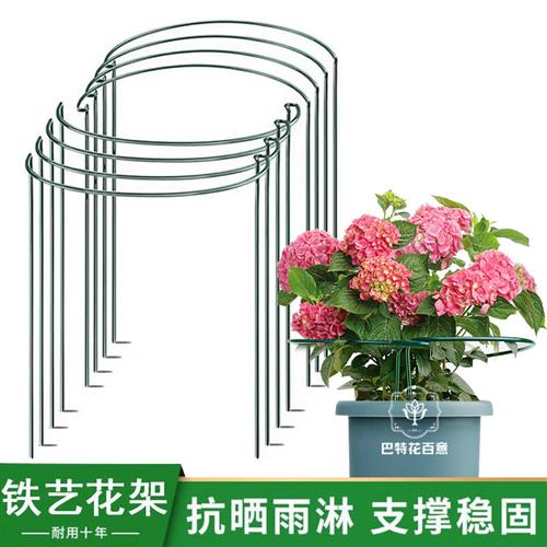 圆形防倒伏支架半圆花架支撑杆爬藤支撑铁艺龟背竹园艺植物支撑架