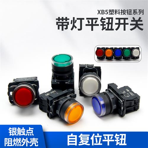 XB5AW33M1C 绿色 带灯平头按钮 XB5AW33Q1C  AC220V