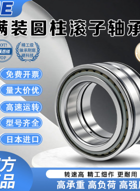 进口满装滚子轴承SL 04 NNF 5004 5005 5006 5007ADA-ADB-2LSV-PP
