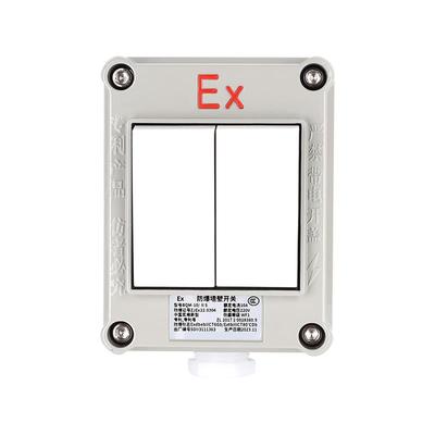 防爆墙壁开 关220V10A86型照明开 关工业防爆开 关单联双切厂房插