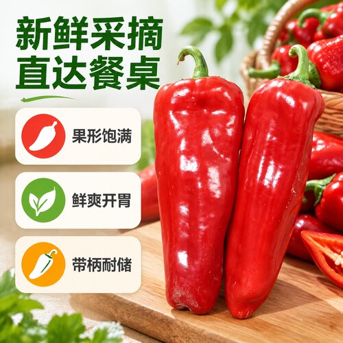新鲜应季农家牛角椒红辣椒