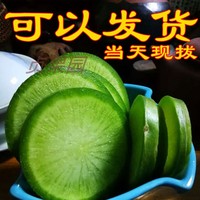 天津特产正宗沙窝萝卜净重8斤脆甜水果萝卜新鲜蔬菜青萝卜生吃。