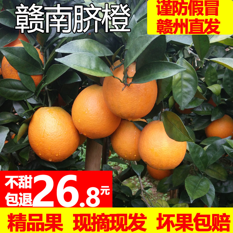 江西赣南脐橙10斤装橙子新鲜水果整箱手剥冰糖果冻甜橙正宗特产20