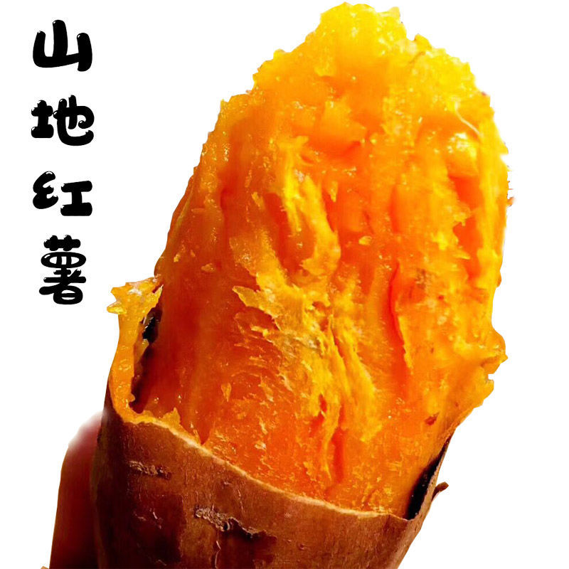 现挖新鲜蜜薯黄心红薯10斤软糯糖心番薯西瓜红农家地瓜批发包邮5