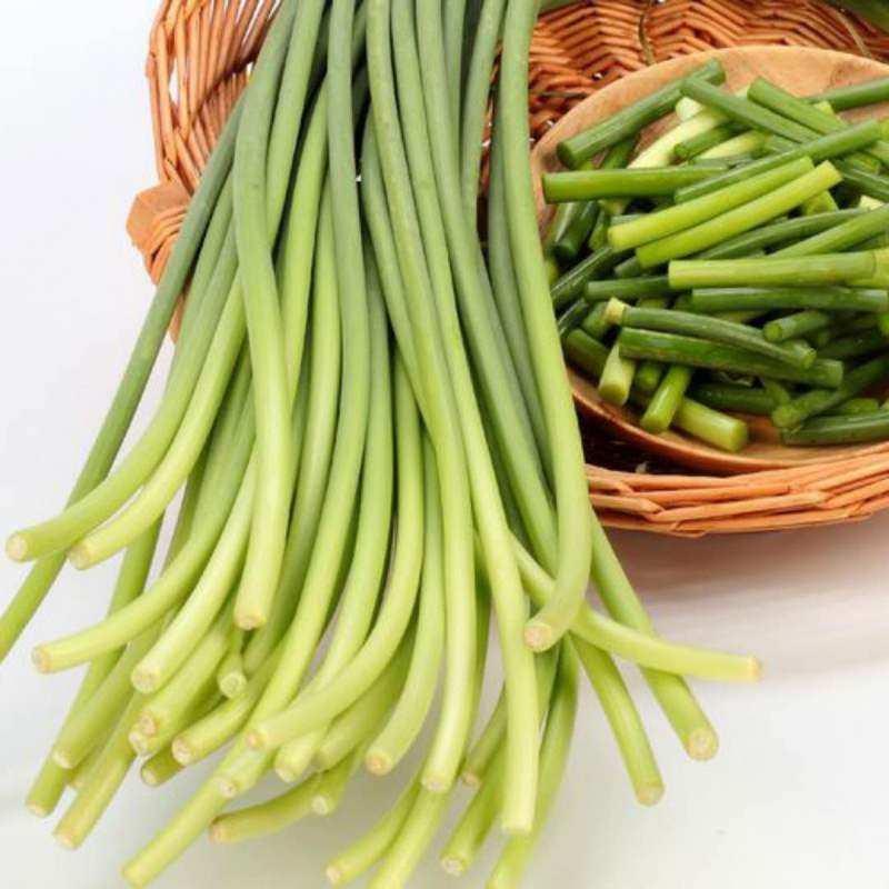 2025年河南鲜嫩蒜薹蒜苔新鲜发货5斤农家种植新鲜蔬菜蒜苔