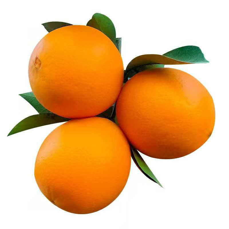 江西省正宗赣南脐橙现摘现发皮薄手剥橙大果当季水果新鲜农产品