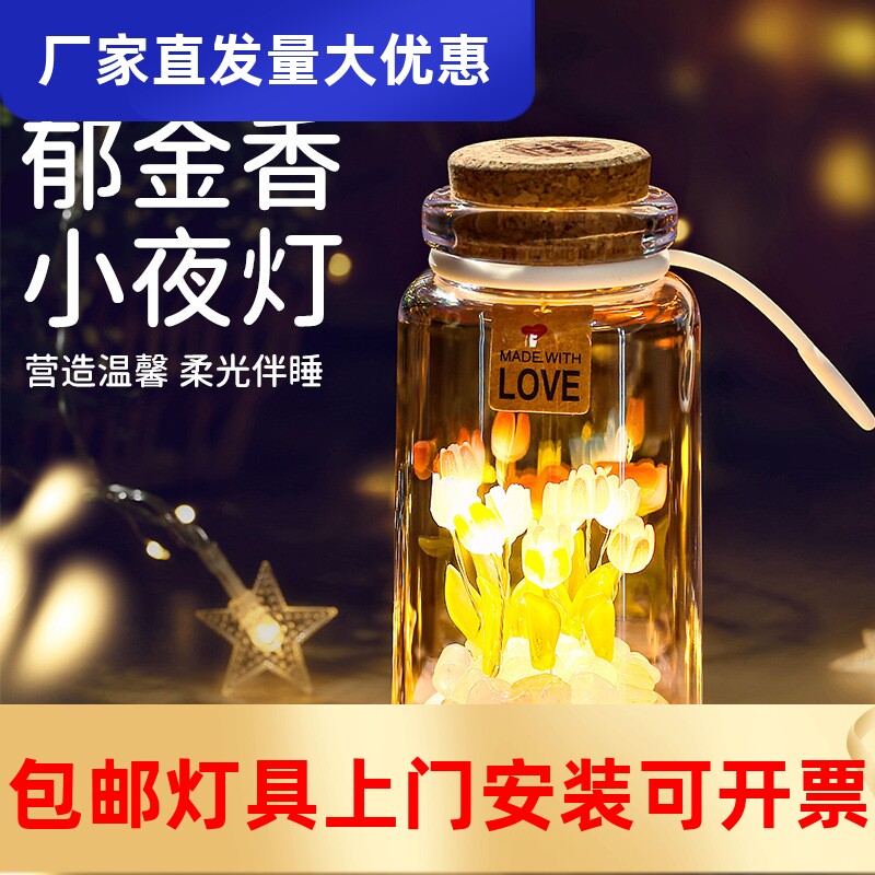郁金香许愿瓶小夜灯节日礼品手提其它灯具灯饰