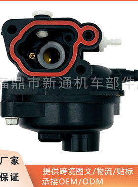 园林化油器Briggs&Stratton 799583 593261 595656 591979 590556