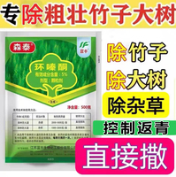 環(huán)嗪哃除灌木竹子爛根專用藥