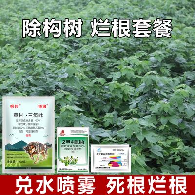 构树克星死根腐根见效快灌木拉拉藤枯死构树死根专用农药正品套餐