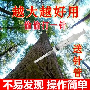 障碍树一针杂草灌木除根烂根摧根死根除杂竹子灌木烂根加强水剂针
