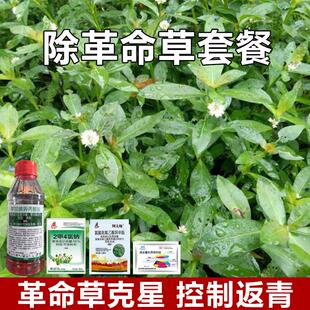 革命草烂根套餐除水花生烂根死根荒地果树园林草甘膦除草烂根专用
