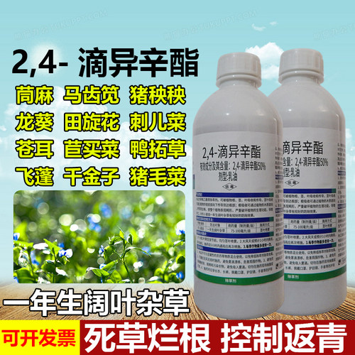 天邦2，4-滴异辛酯50%除草剂冬小麦田除杂草24D除草剂农药灭草剂