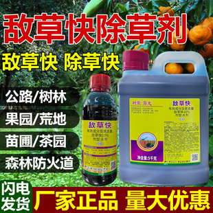 敌草快除草剂果园荒地庭院牛筋草小飞蓬非耕地杂草敌草怏除杂草剂
