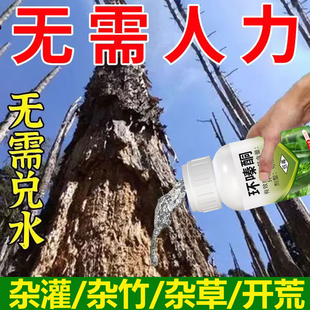 环嗪酮一针除灌木死根水剂除乔木灌木杂草大竹环嗪哃铜枯死腐根药