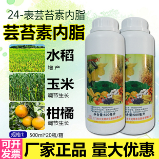 芸苔素 大光明天丰素 三表芸 表芸 植物生长调节剂500ml 0.01%24