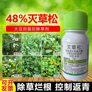 灭草松大豆专用除草剂小麦蚕豆田作物苗后除草剂灭草松豌豆除草剂