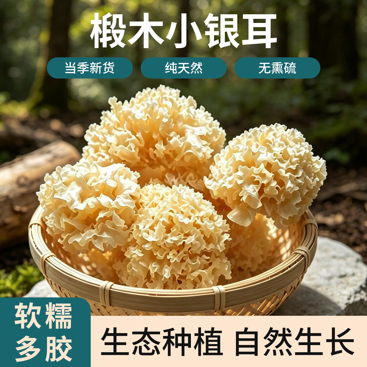 椴木小银耳干货特级出胶软糯白木耳正宗古田雪耳羹天然无硫新货