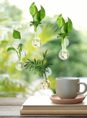 透明亚克力水培绿萝壁挂花瓶