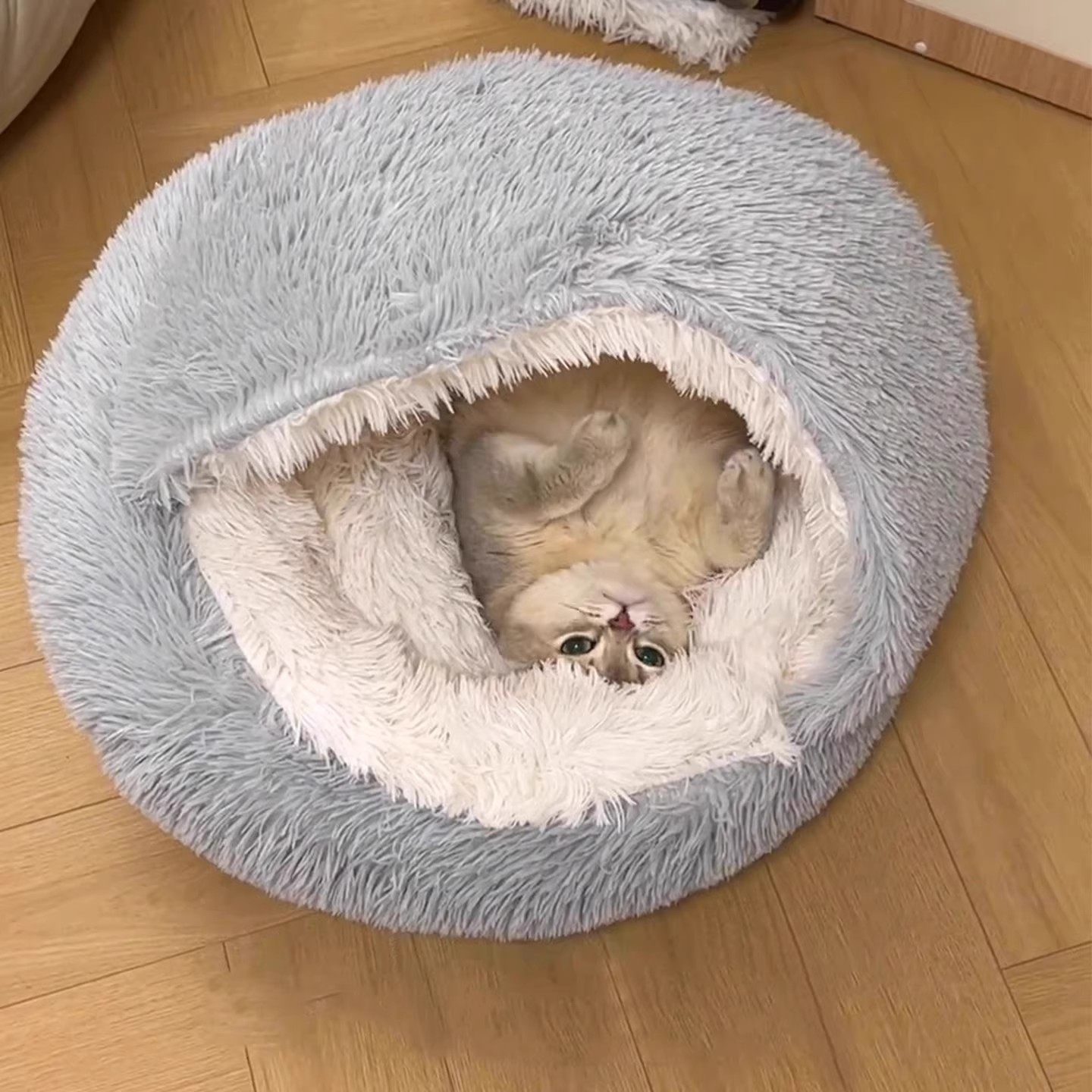 猫窝冬季保暖贝壳窝封闭式深度睡眠窝幼猫冬天睡觉用猫床猫咪用品,宠物/宠物食品及用品,狗窝/屋/帐篷/沙发,淘宝优惠券,粉丝福利购,淘宝优惠卷