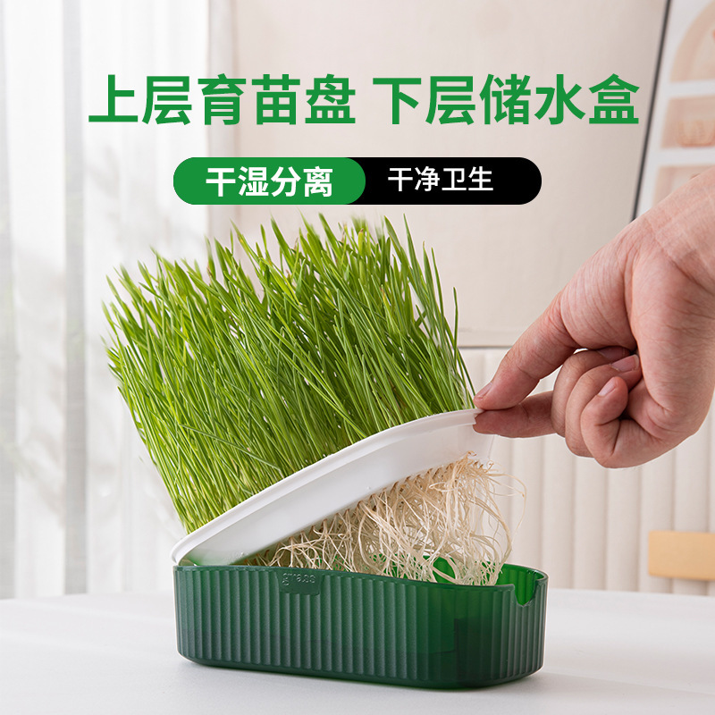 猫草猫咪零食种子无土水培助消化毛猫零食猫薄荷种植方形猫草盒盆